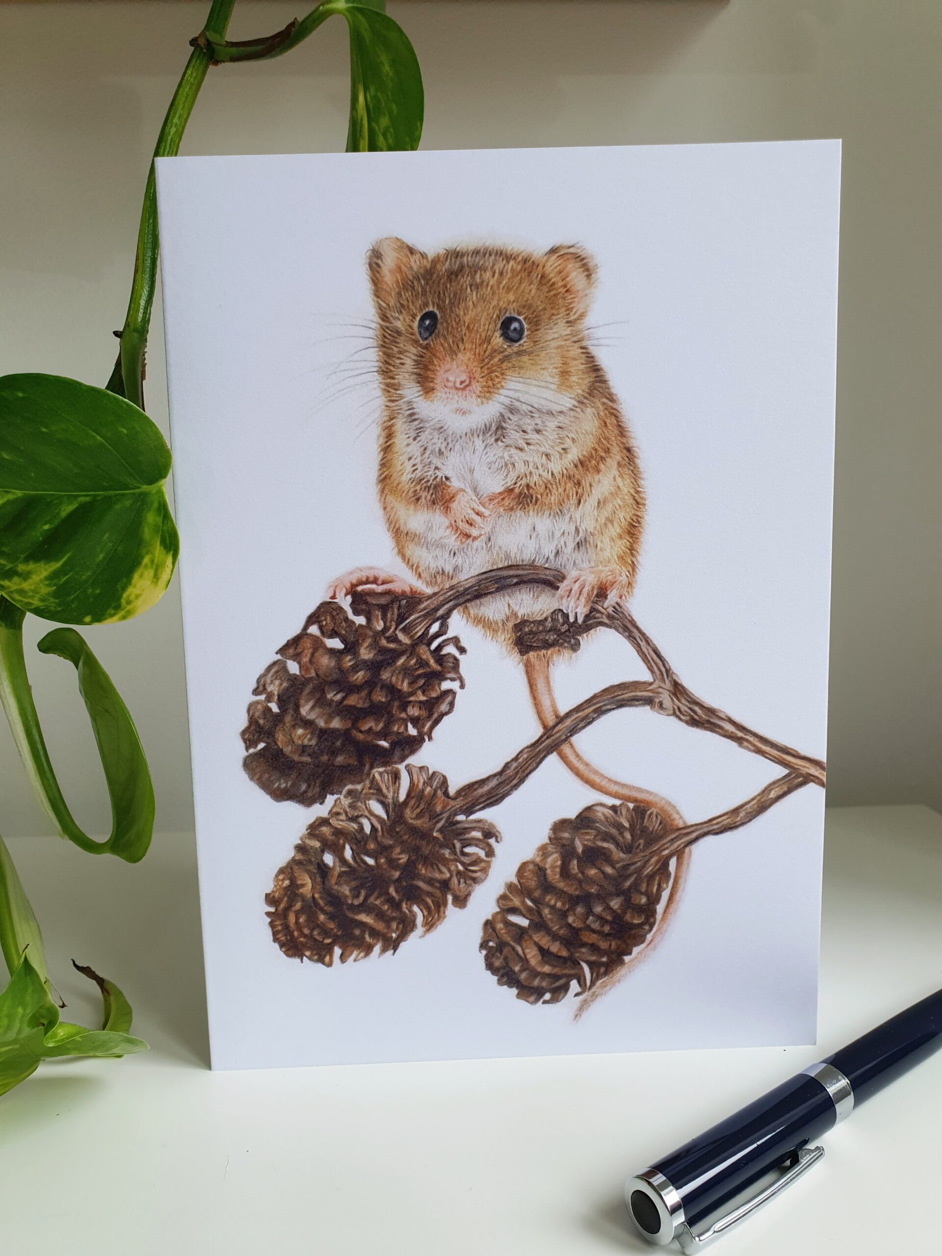 Vantage Point - Blank Greeting Card - Picture from Original Drawing - 15 x 21 cm