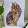 Doobie - Blank Greeting Card - Picture from Original Drawing - 15 x 21 cm
