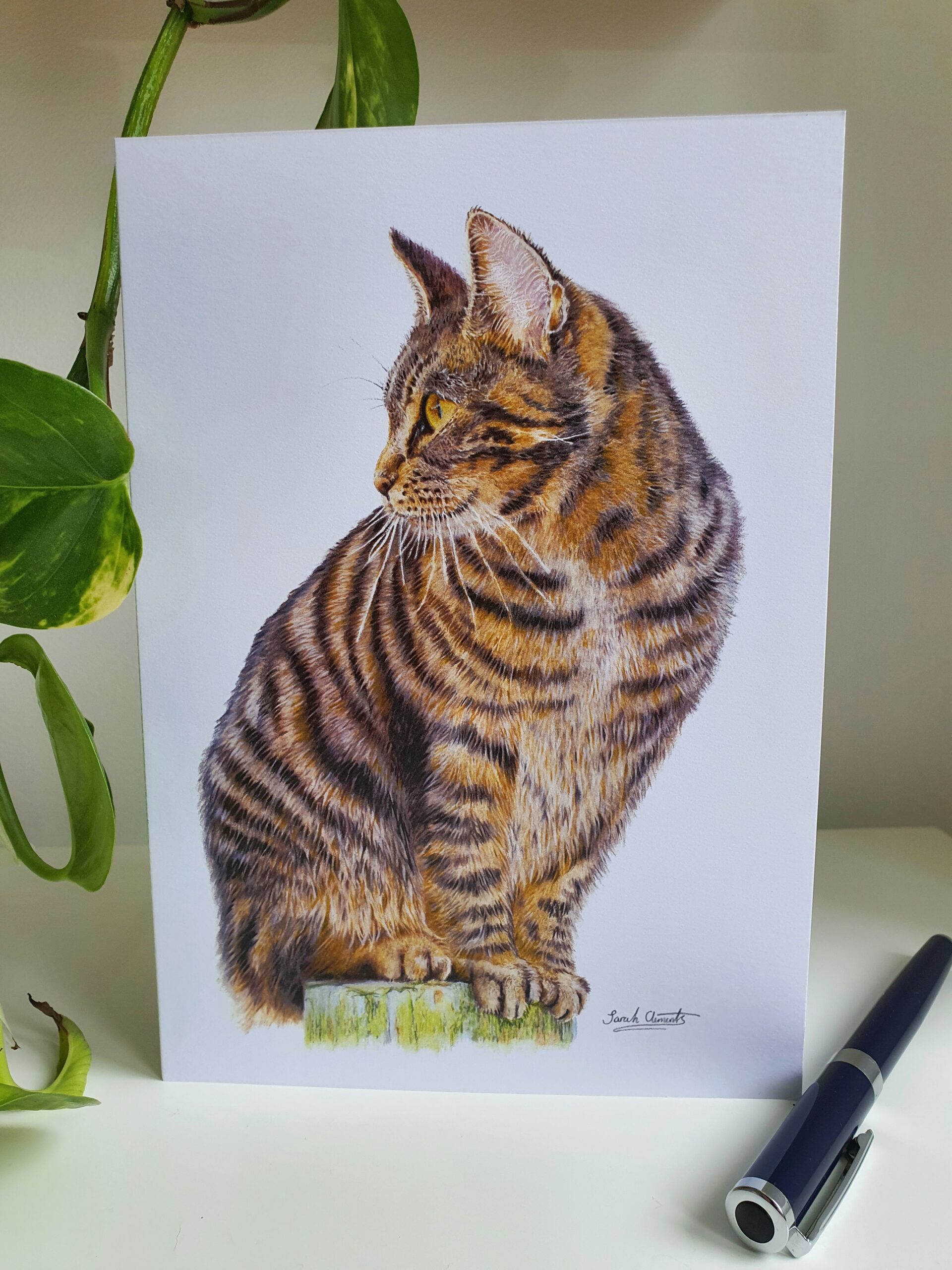 Doobie - Blank Greeting Card - Picture from Original Drawing - 15 x 21 cm