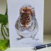 'The Nutcracker' - Blank Greeting Card - Picture from original drawing - 15 x 21 cm