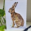 'Wise ol Hare' - Blank Greeting Card - Picture from Original Drawing - 15 x 21 cm