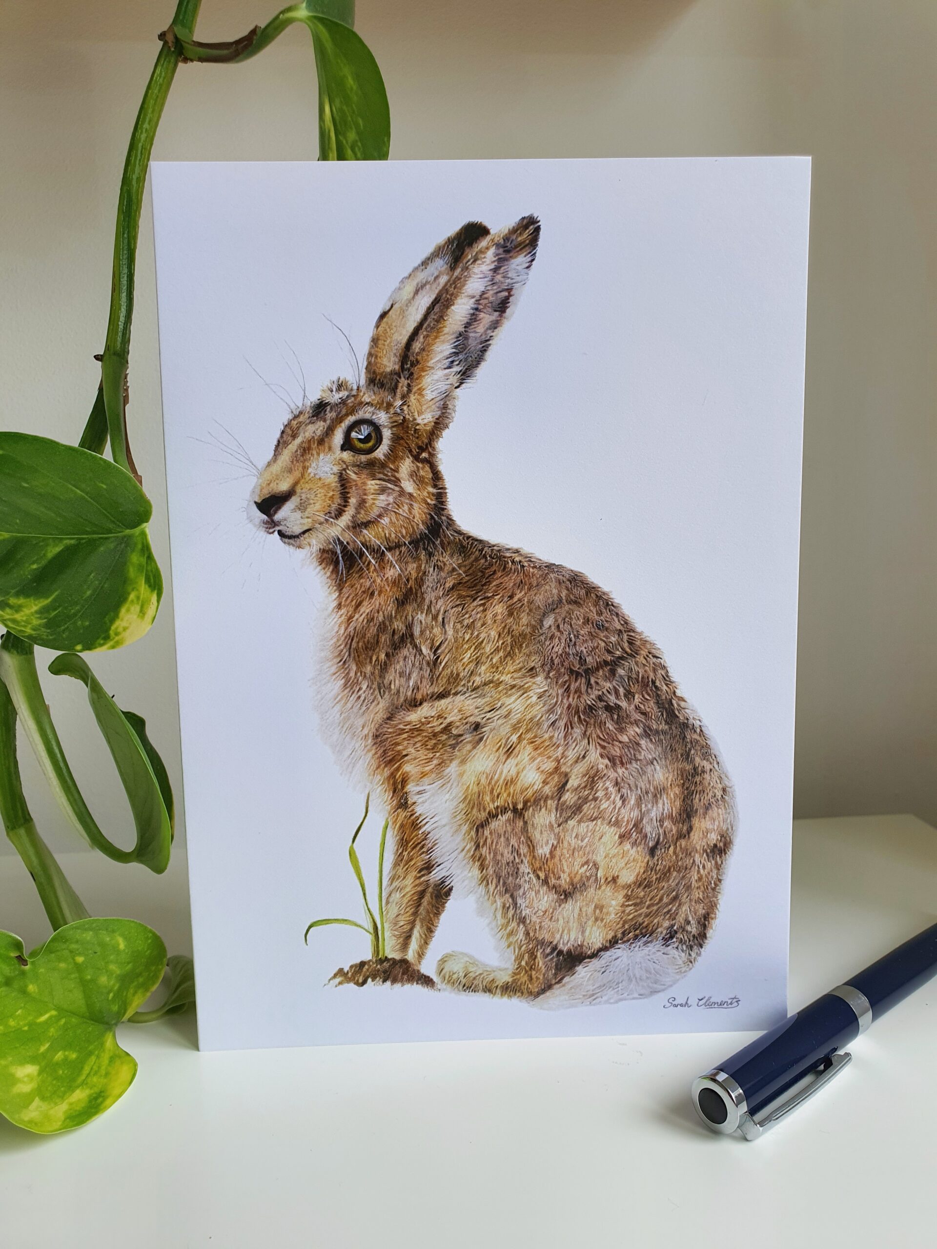 'Wise ol Hare' - Blank Greeting Card - Picture from Original Drawing - 15 x 21 cm