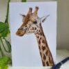 'Masai' - Blank Greeting Card - Picture from Original Drawing - 15 x 21 cm