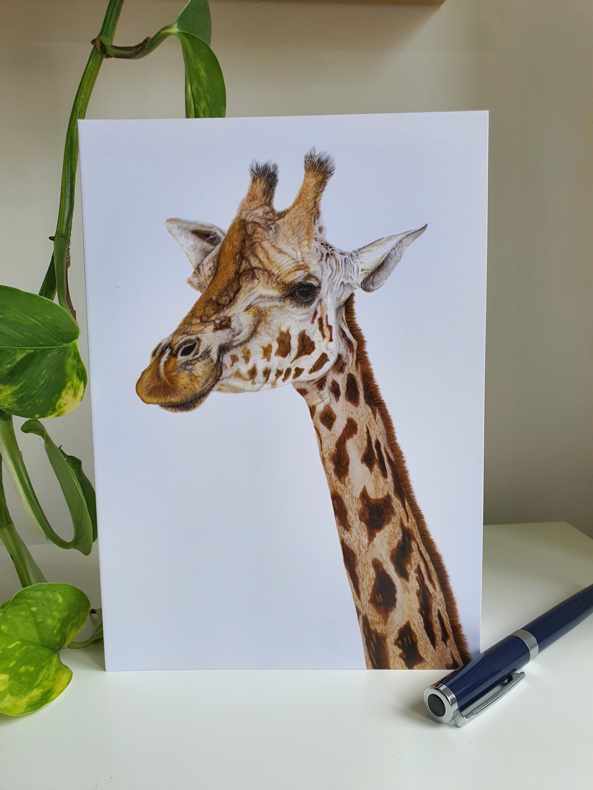 'Masai' - Blank Greeting Card - Picture from Original Drawing - 15 x 21 cm