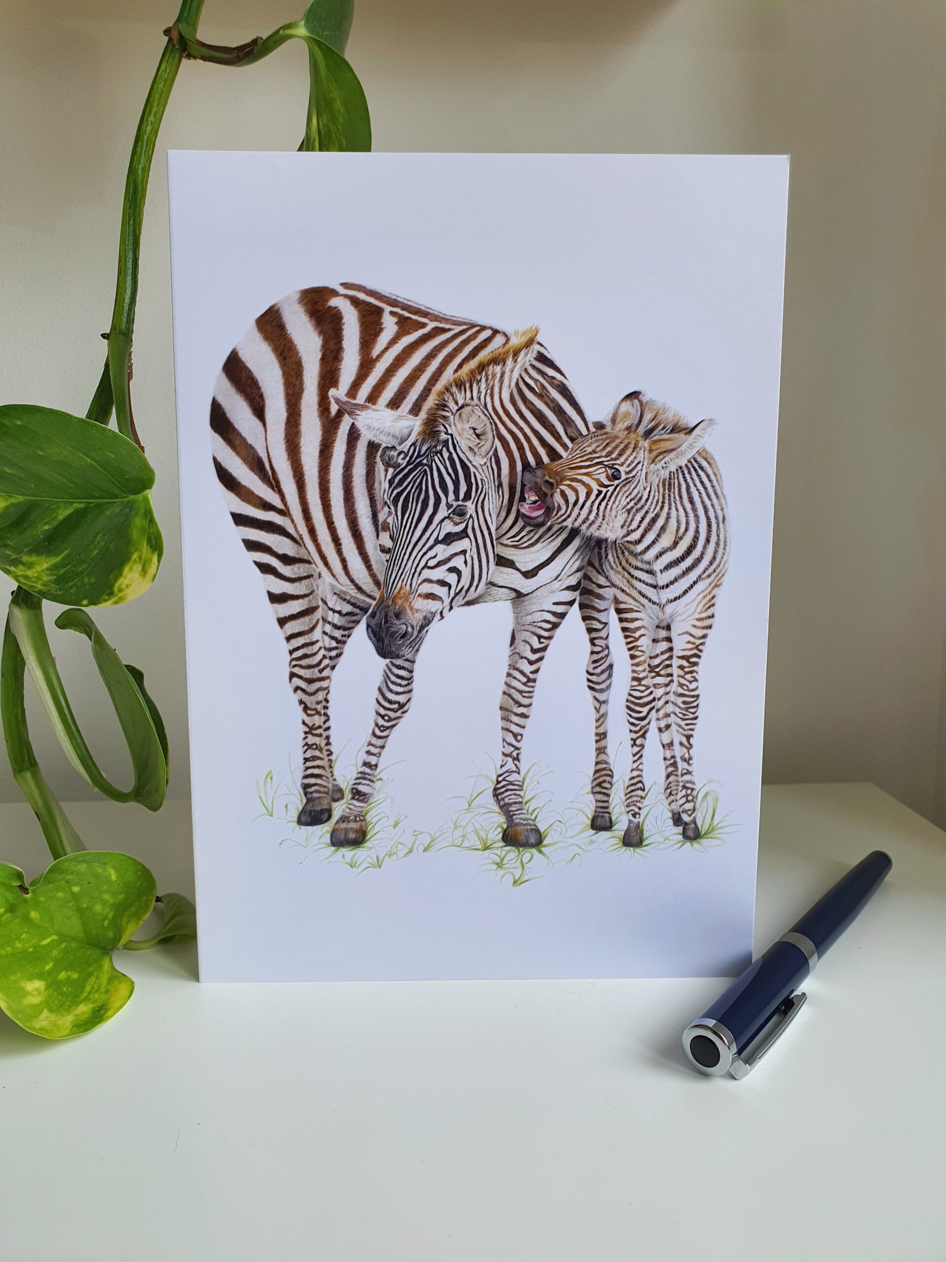 'Peppie & Stripes' - Blank Greeting Card - Picture from Original Drawing - 15 x 21 cm