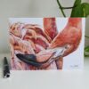 'Flamenco Rosa' - Blank Greeting Card - Picture from Original Drawing - 15 x 21 cm