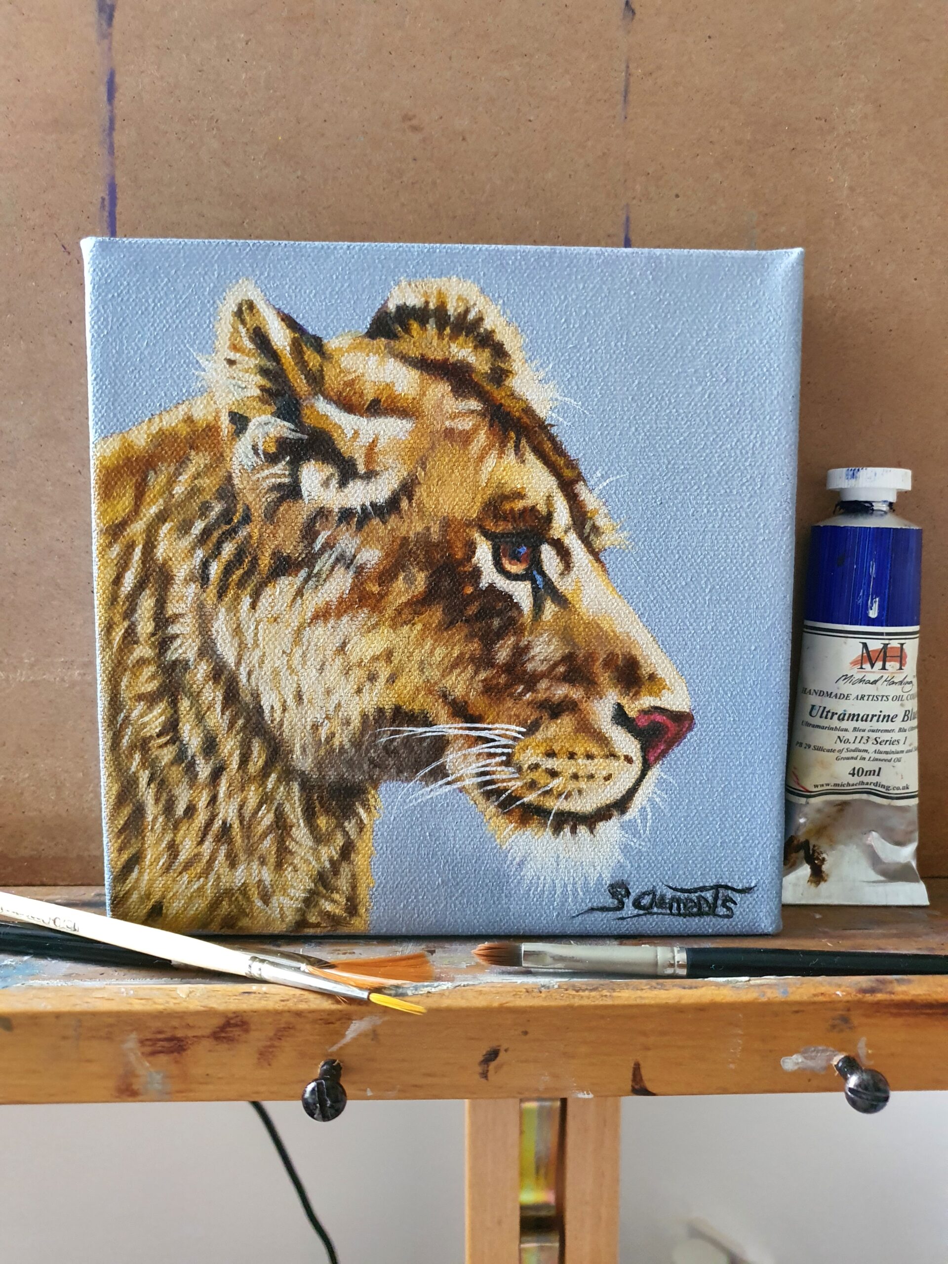 Original Lioness Oil Painting - 'Nala'