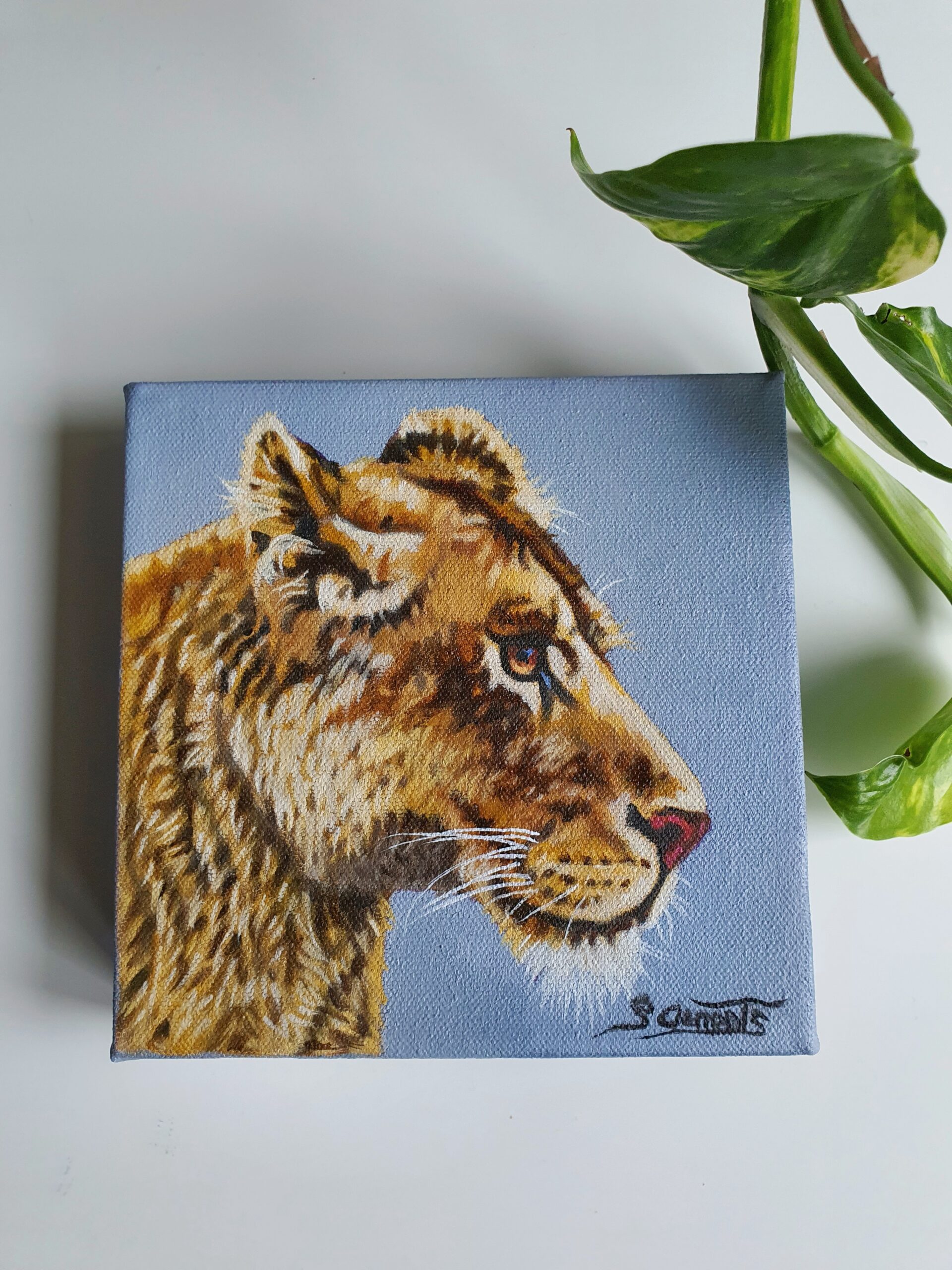 Original Lioness Oil Painting - 'Nala'
