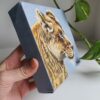 Original Lioness Oil Painting - 'Nala'