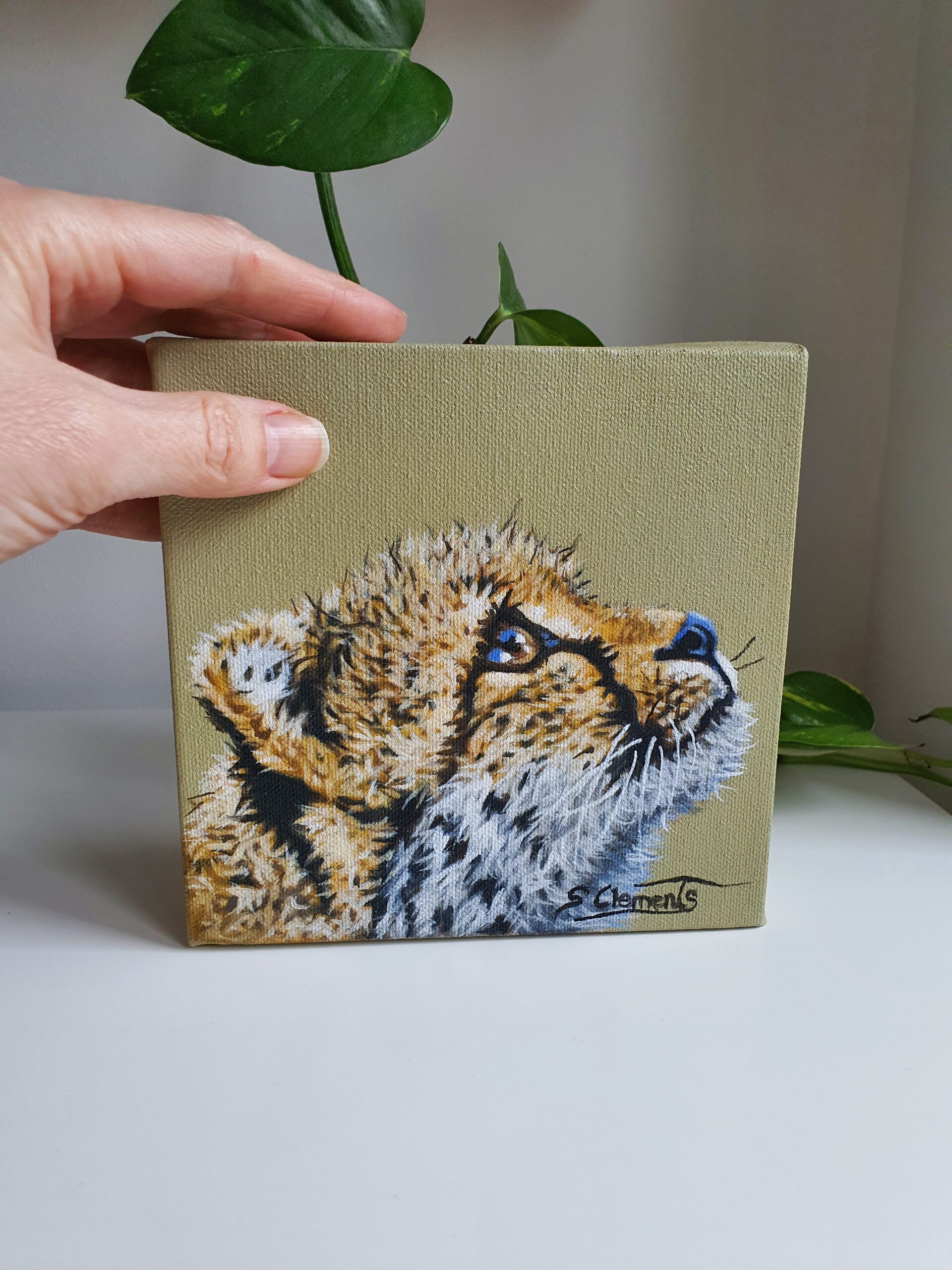Original Cheetah Cub Oil Painting - 'Zephyr'