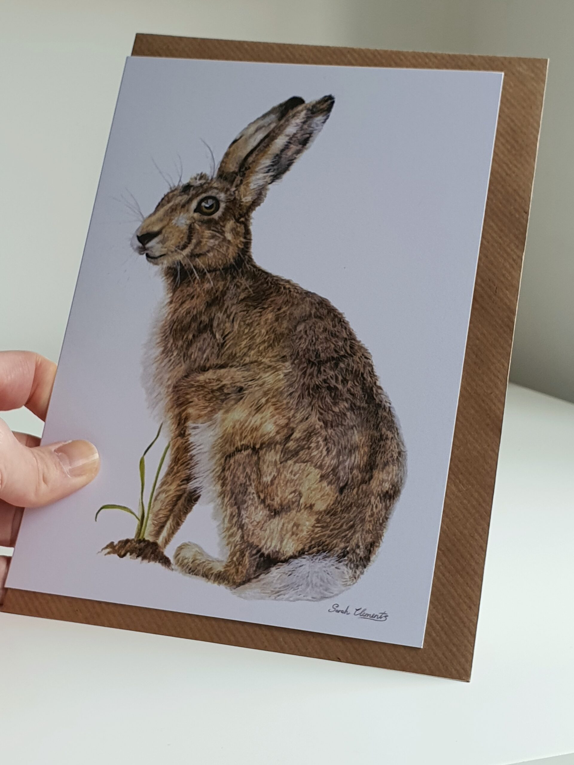 'Wise ol Hare' - Blank Greeting Card - Picture from Original Drawing - 15 x 21 cm