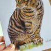Doobie - Blank Greeting Card - Picture from Original Drawing - 15 x 21 cm