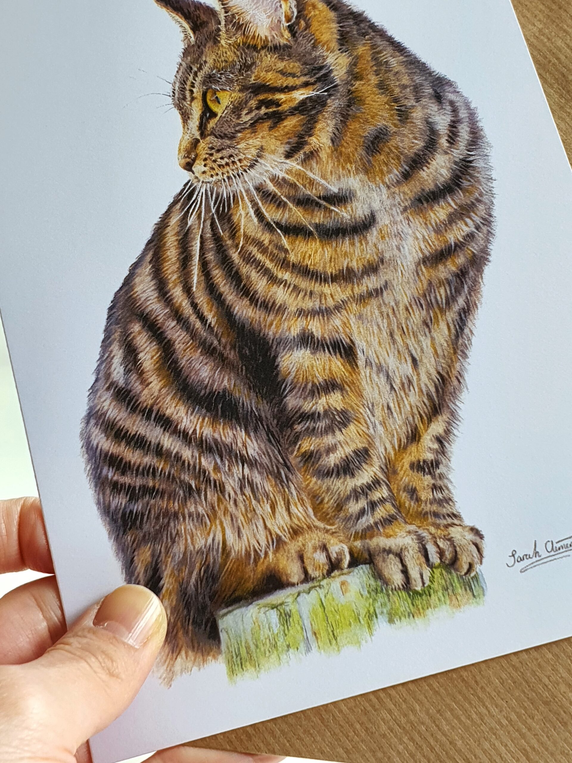 Doobie - Blank Greeting Card - Picture from Original Drawing - 15 x 21 cm
