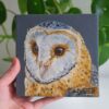 Original Owl Oil Painting - 'Echo'