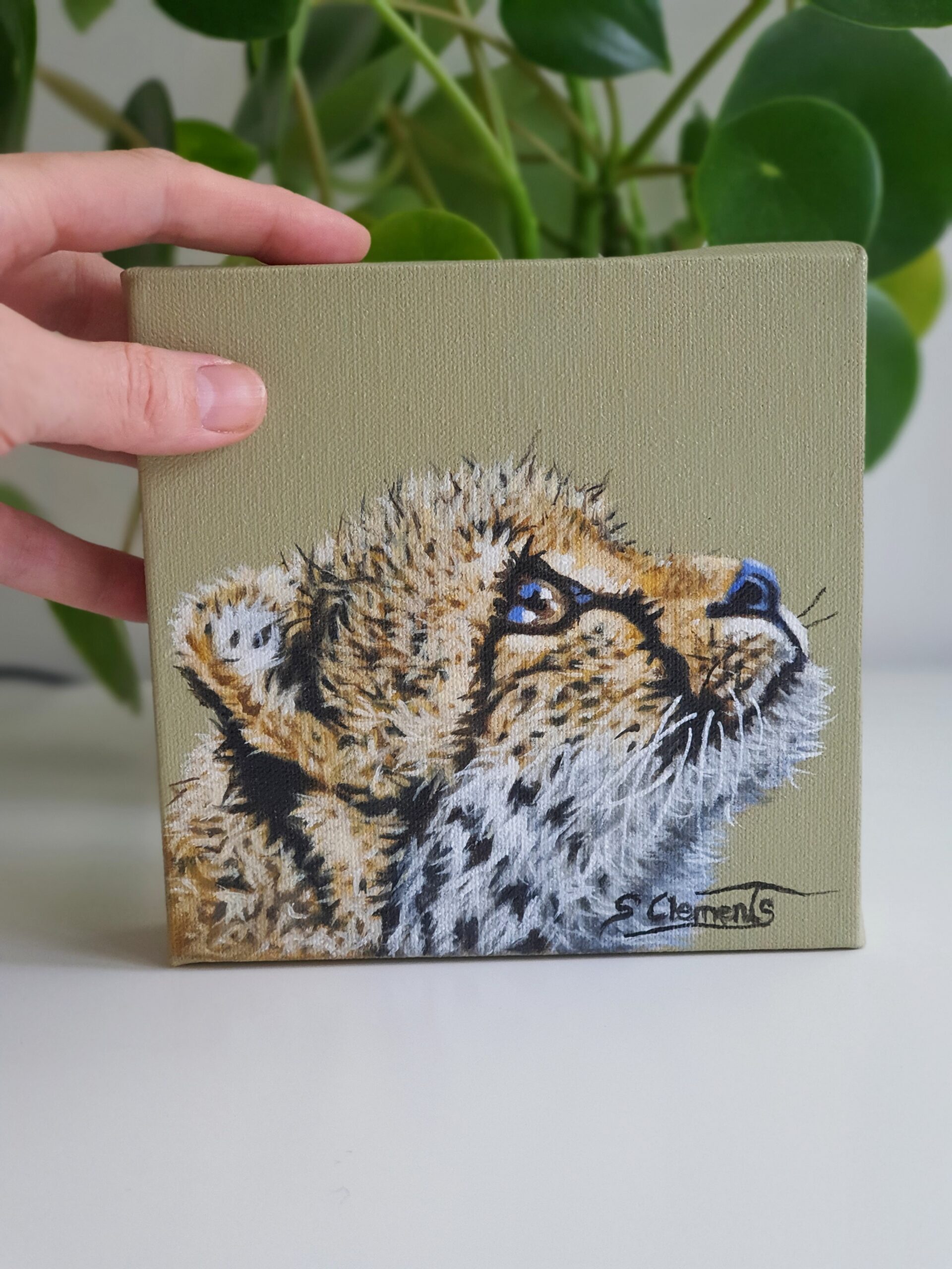 Original Cheetah Cub Oil Painting - 'Zephyr'