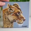 Original Lioness Oil Painting - 'Nala'