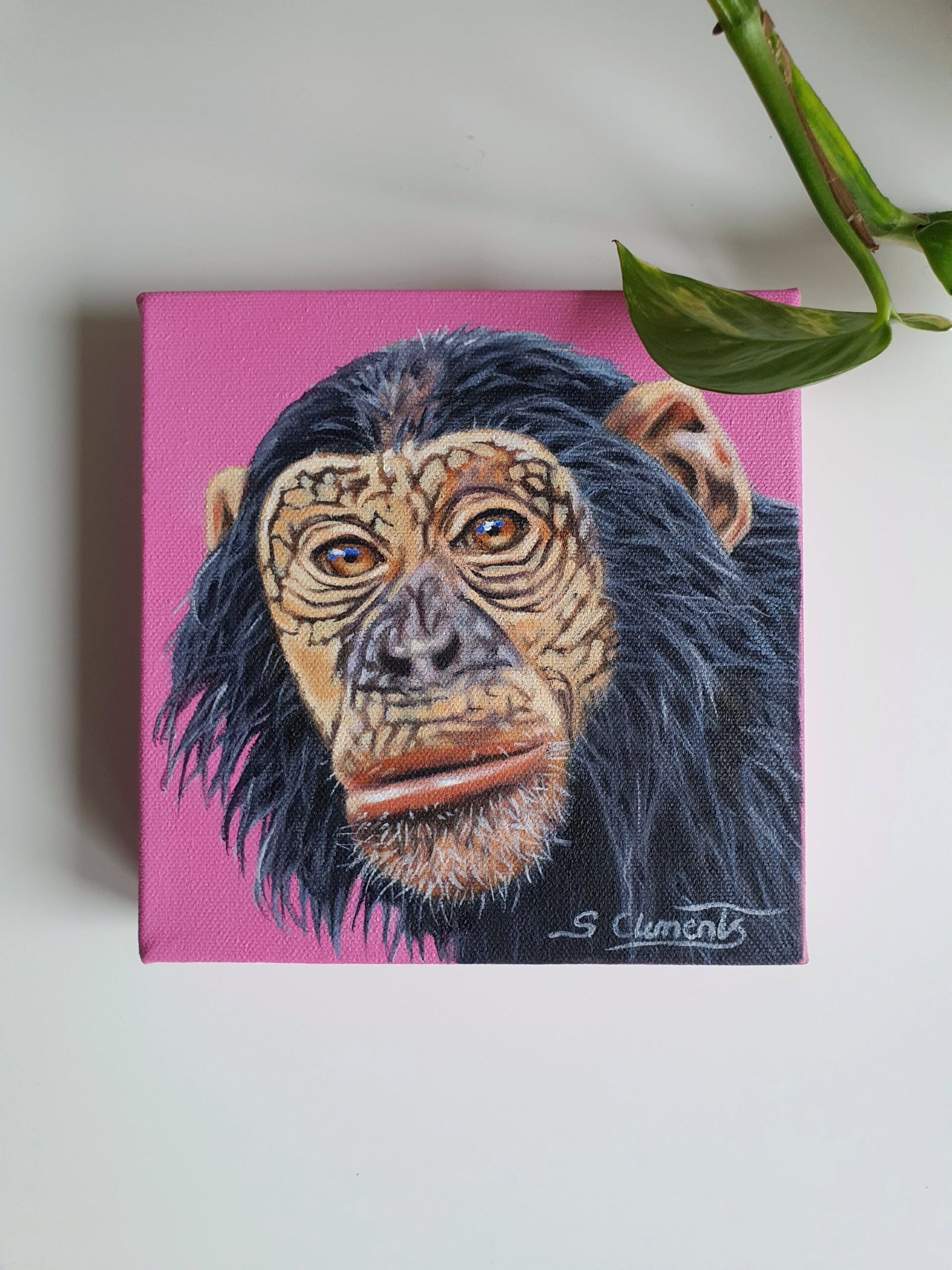Original Chimpanzee Oil Painting - 'Max'