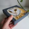 Original Owl Oil Painting - 'Echo'