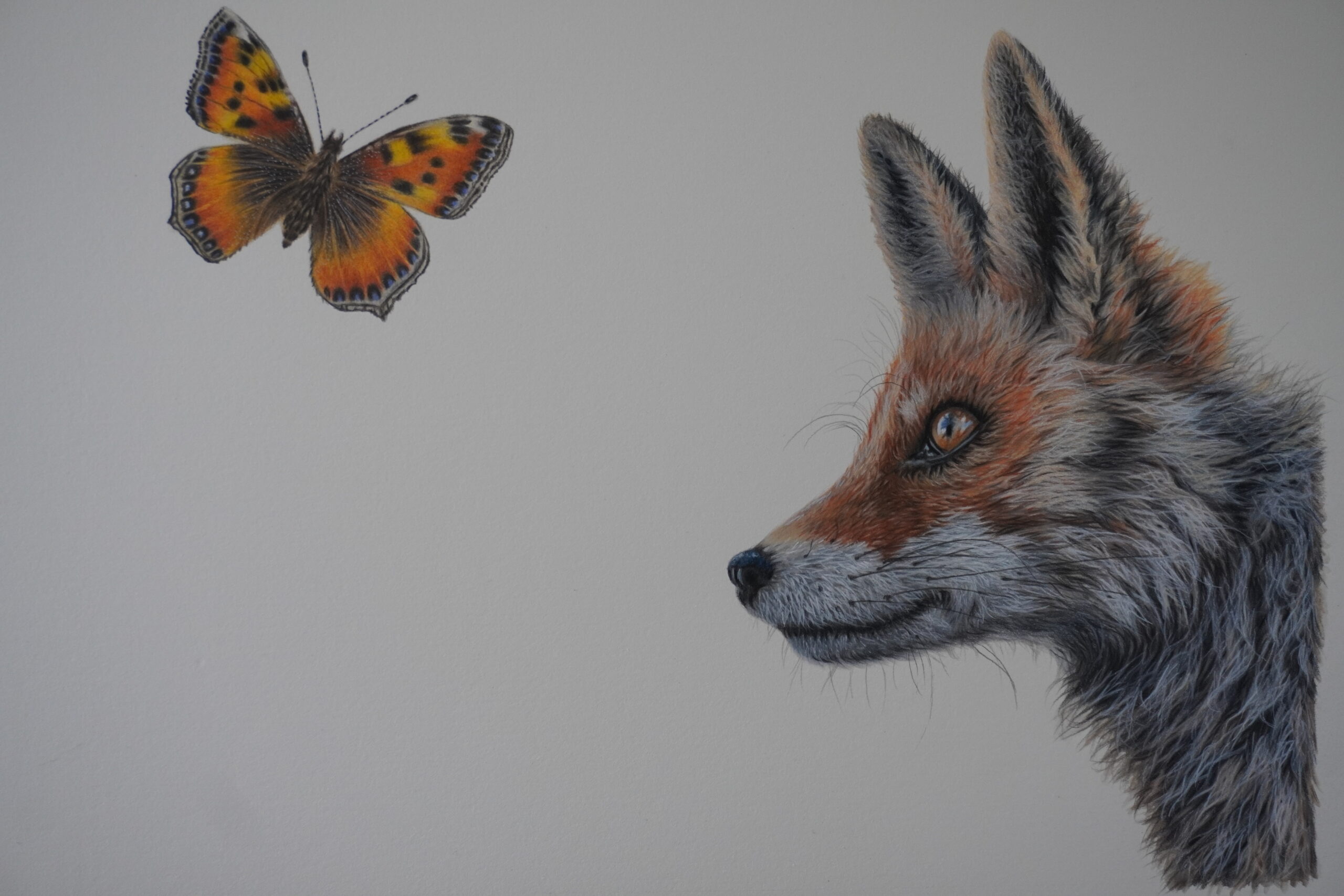 Fox & Butterfly