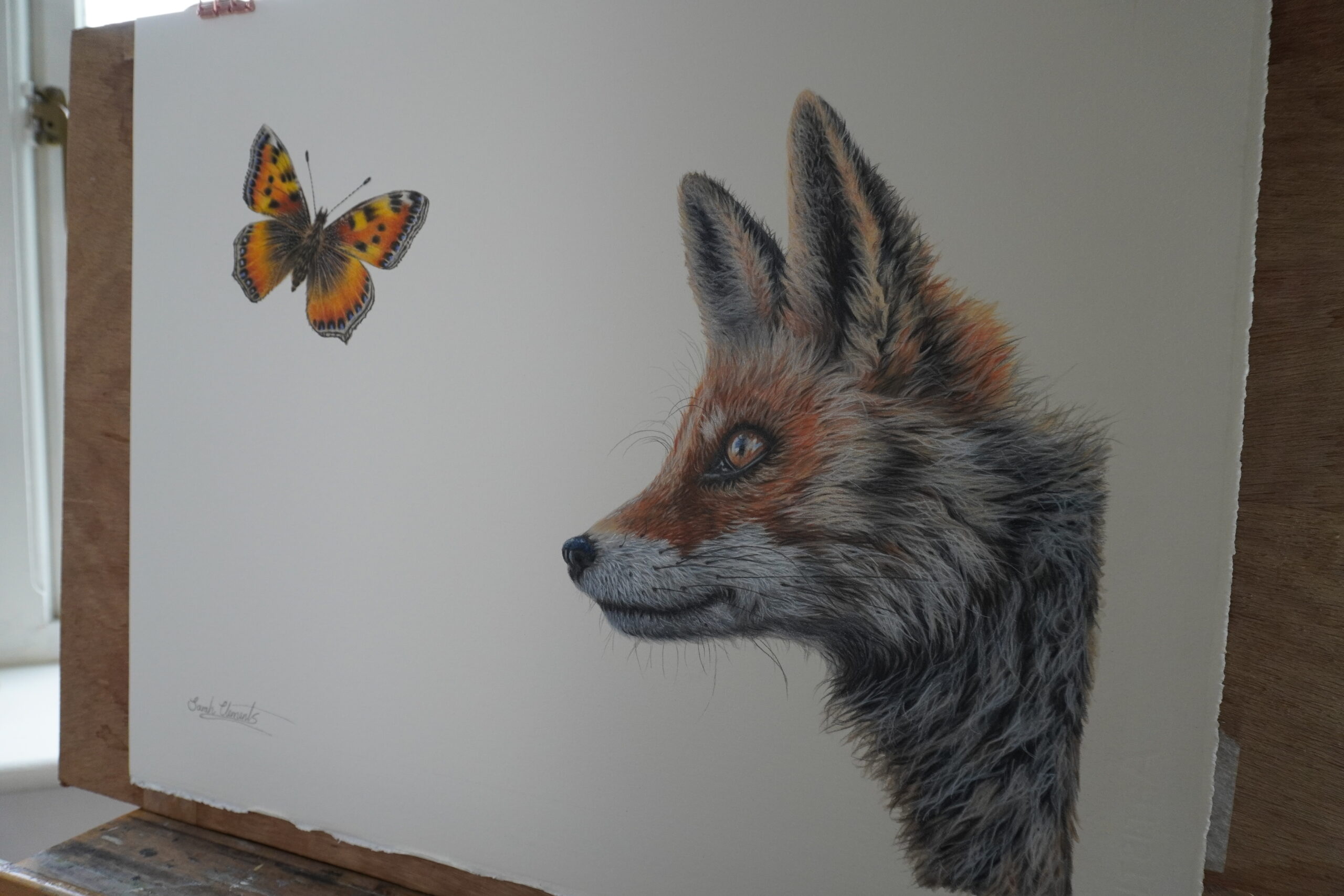 Fox & Butterfly