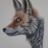 Fox & Butterfly